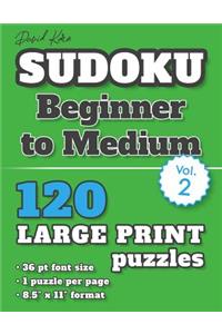 David Karn Sudoku - Beginner to Medium Vol 2
