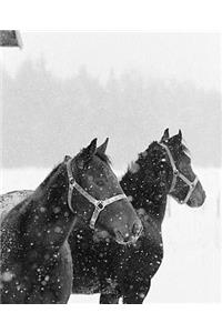 Horse Photo School Composition Book Equine Horses in Snowfall