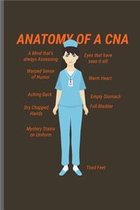 Anatomy of a CNA