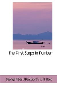 The First Steps in Number