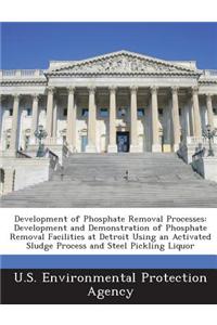 Development of Phosphate Removal Processes
