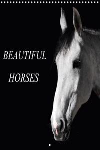 Beautiful Horses 2018