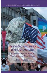 Micro and Meso Levels of Activism