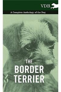Border Terrier - A Complete Anthology of the Dog -