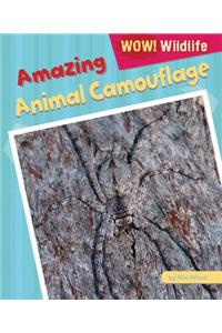 Amazing Animal Camouflage