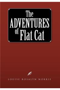 Adventures of Flat Cat