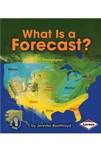 What Is a Forecast?