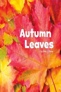 Autumn Leaves