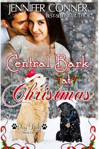 Central Bark at Christmas