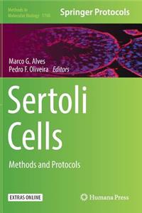 Sertoli Cells