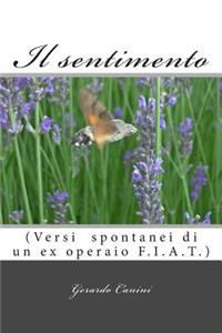 Il sentimento