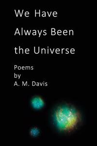We Have Always Been the Universe