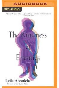 Kindness of Enemies