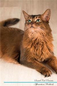 Somali Cat Affirmations Workbook Somali Cat Presents
