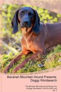 Bavarian Mountain Hound Presents