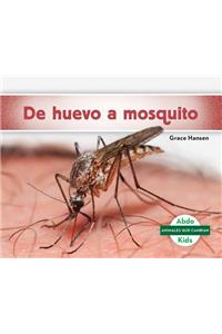 de Huevo a Mosquito (Becoming a Mosquito )