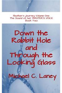 Down the Rabbit Hole and Through the Looking Glass