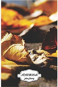Dry Leaf: Small Pocket Notebook