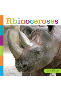 Rhinoceroses