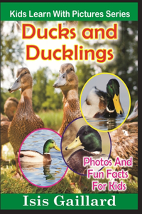 Ducks and Ducklings