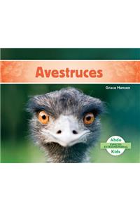 Avestruces (Ostriches ) (Spanish Version)