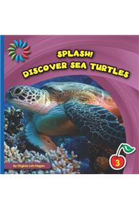 Discover Sea Turtles