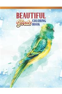 Beautiful Birds Coloring Book