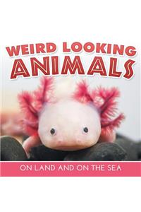 Weird Looking Animals On Land and On The Sea