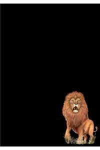 Lion Journal