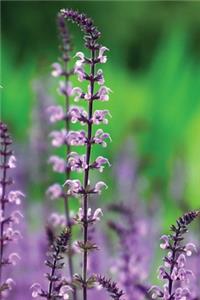 Low Vision Journal with Bold Lines 3/4