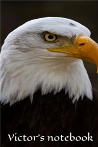 Victor's notebook, journal, size 6x9, 100 pages