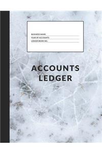 Accounts Ledger