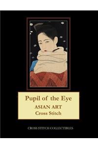 Pupil of the Eye
