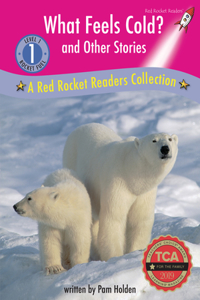 What Feels Cold? And Other Stories