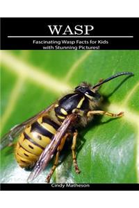 Wasp: Fascinating Wasp Facts for Kids with Stunning Pictures!