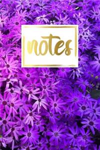 Notes