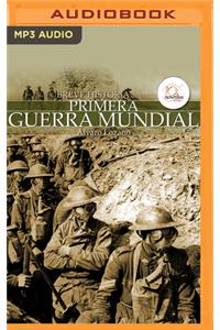 Breve Historia de la Primera Guerra Mundial