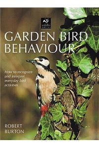Garden Bird Behaviour