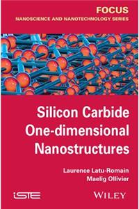 Silicon Carbide One-Dimensional Nanostructures