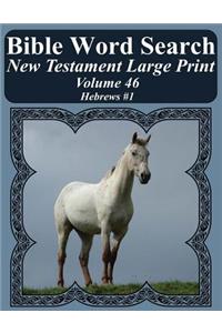 Bible Word Search New Testament Large Print Volume 46