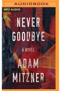 Never Goodbye