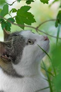 Gray and White Green Eyed Cat in the Leaves: 150 page lined 6 x 9 notebook/diary/journal