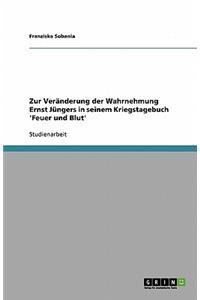 Zur Veränderung der Wahrnehmung Ernst Jüngers in seinem Kriegstagebuch 'Feuer und Blut'