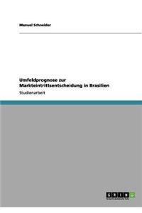 Umfeldprognose zur Markteintrittsentscheidung in Brasilien