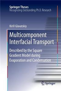 Multicomponent Interfacial Transport