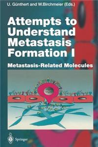 Attempts to Understand Metastasis Formation I