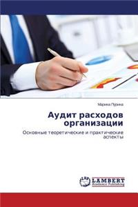 Audit raskhodov organizatsii