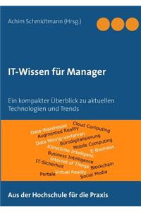 IT-Wissen für Manager
