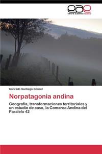Norpatagonia andina