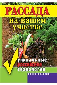 Seedlings on your site. Unique Russian technology